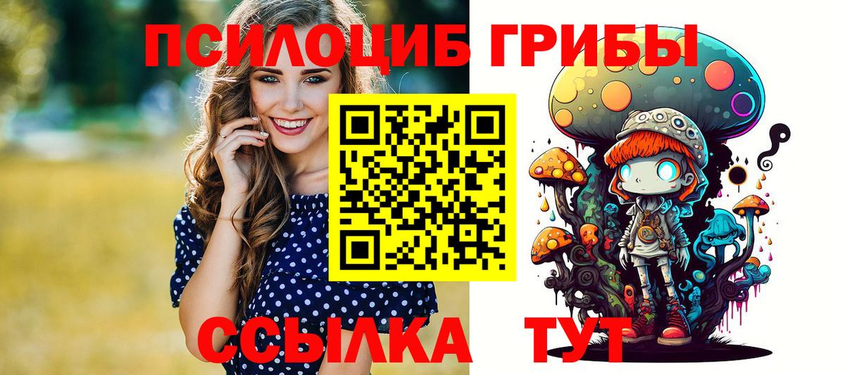 Мурманск  Галлюциногенные грибы Psilocybine cubensis  Вход с VPN 